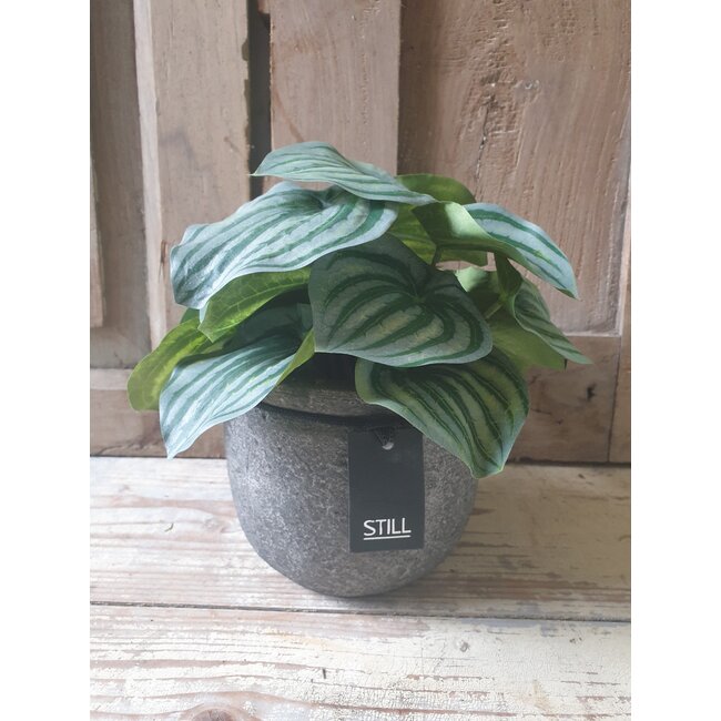Still # wordt niet verzonden - 4313 - Grijs gemeleerde bloempot ca. 12 x 12 cm - serie "Earth"