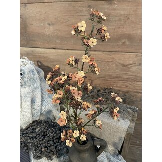 Brynxz ~Oranje/gele Ganzerik - Potentilla 102 cm