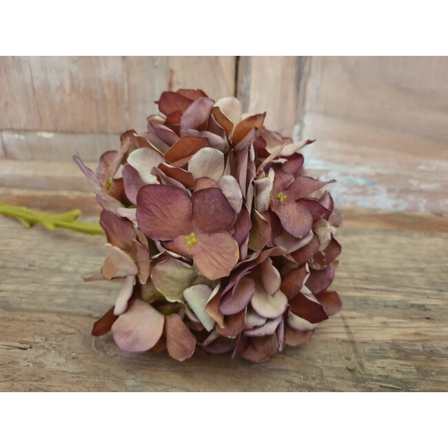 Countryfield ~Hortensia S bruin - 18 x 18 x 47 cm