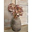 Countryfield Hortensia S bruin - 18 x 18 x 47 cm