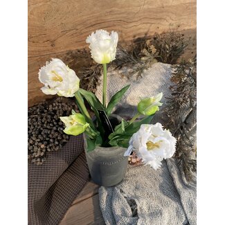 Countryfield ~Witte tulpen boeket - parkiet/kartel - 5 stelen - 40 cm