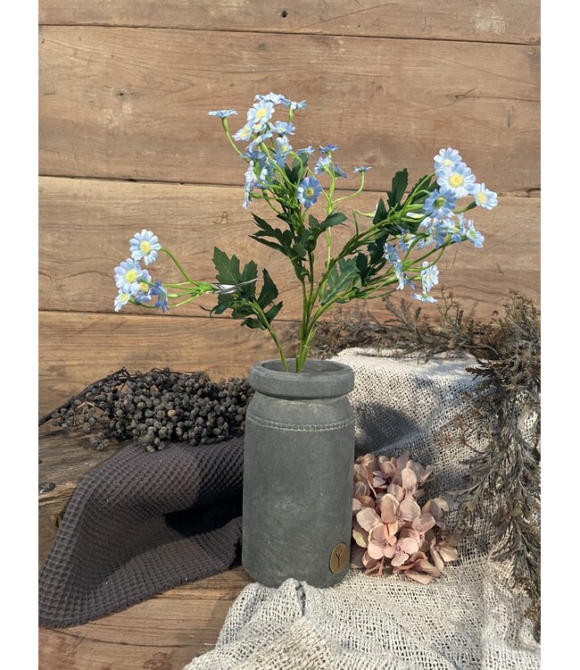 Blauwe margriet 60 cm