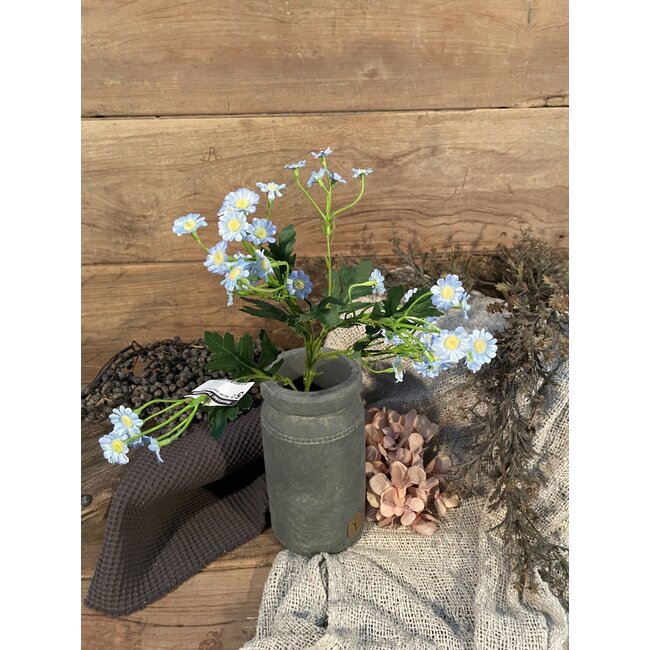 Blauwe margriet 60 cm