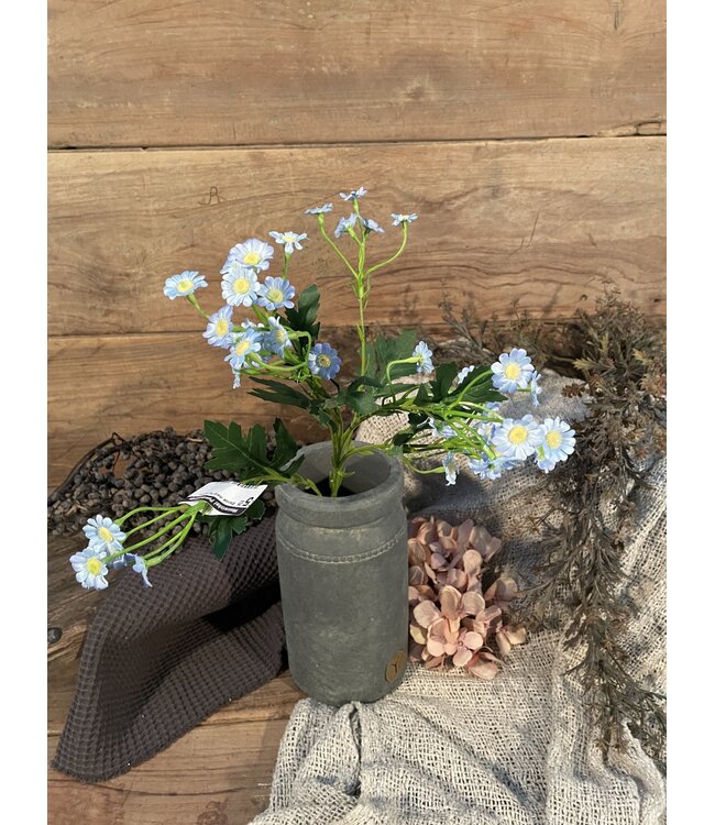 Blauwe margriet 60 cm