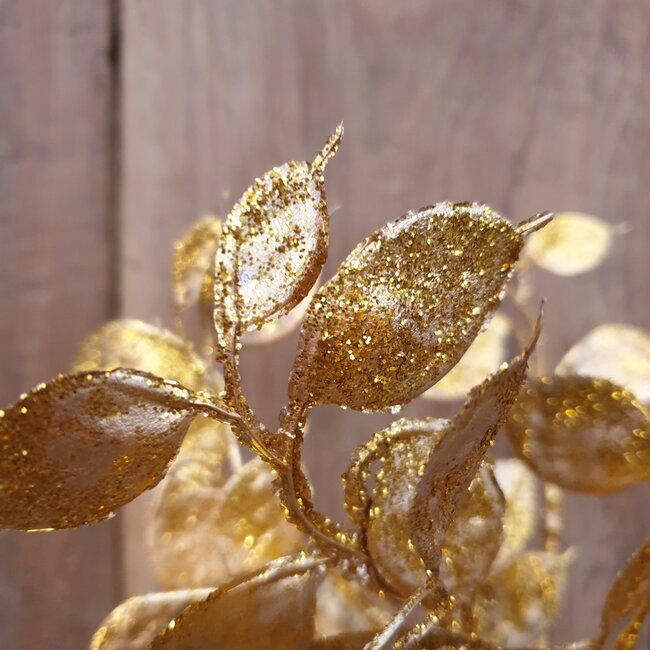 Countryfield Lunaria goud-glitter-L8B15H40CM - bundel