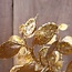 Countryfield Lunaria goud-glitter-L8B15H40CM - bundel