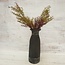 # ASPARAGUS TAK BRN/GRN - kunst - 66 cm