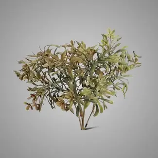 Brynxz SEDUM BUSH BRONZE 30 cm