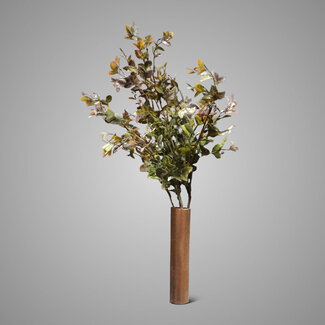 Brynxz Ceanothus Bush Bronze - 59 cm