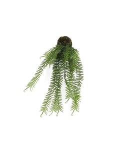 Countryfield Monilophyta S groen-L15B15H70CM
