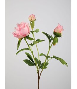 Peony Spray 73cm - lichtroze