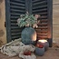 Brynxz # EUCALYPTUS BUSH BRONZE 30 cm - kunst