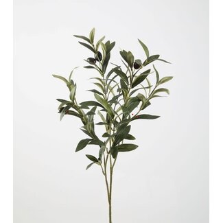 Olive Leaf Spray 72cm