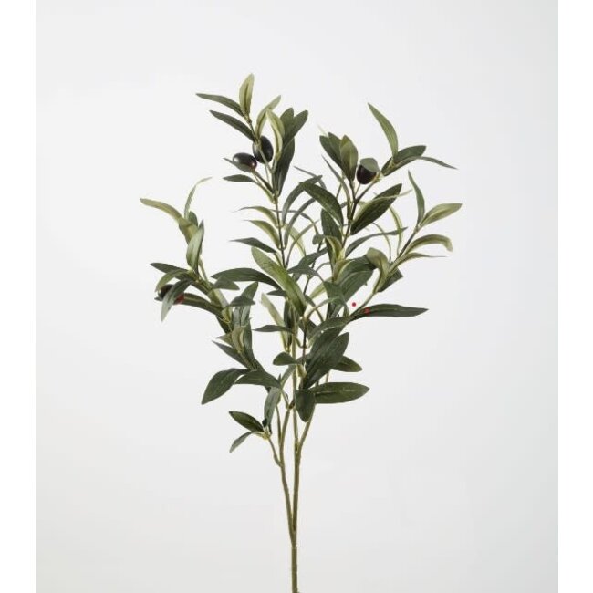 Olive Leaf Spray 72cm