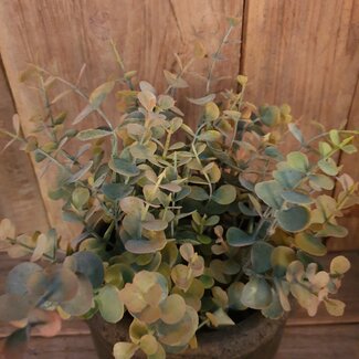 ~Rood/groene eucalyptus 33 cm