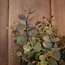 Rood/groene eucalyptus 33 cm