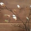 Witte magnolia knoppen tak "Kelsey" 108 cm