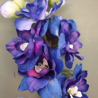 ~Blauwe delphinium 94 cm