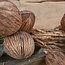 Cocosballen op tak bruin - ca. 75 cm