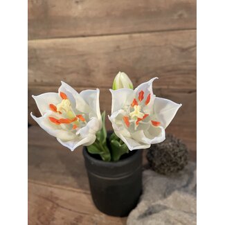 Witte tulpen luxe 48 cm