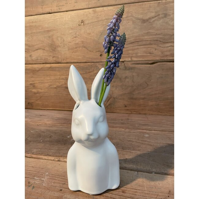 ## Blauwe druif "Muscari Stem" 45cm