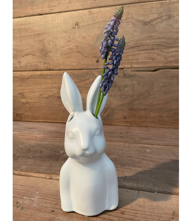 ## Blauwe druif "Muscari Stem" 45cm