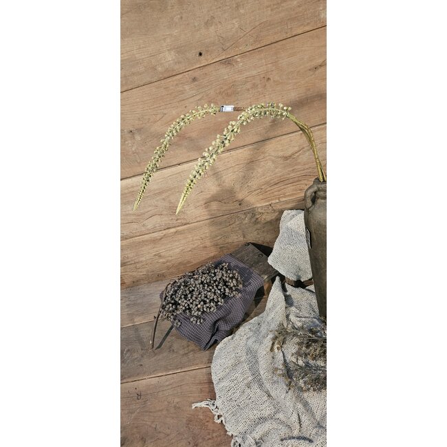## Faux Wheat bean branch 01 100CM