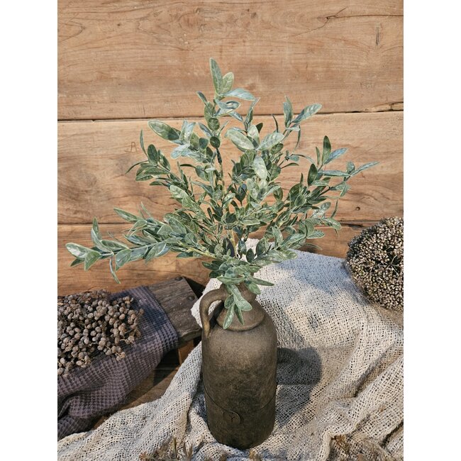 ## LIGUSTRUM BUSH 42 cm