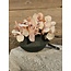 # Kom met oor - aardewerk - 13 x 8 cm "Ancient Soil" - Grootste