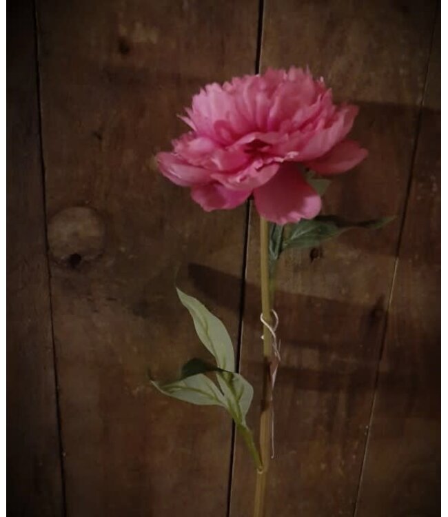 pioen donkerroze - 68 cm