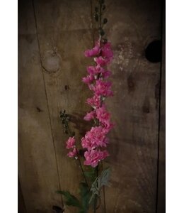 Roze ridderspoor - delphium - 78 cm