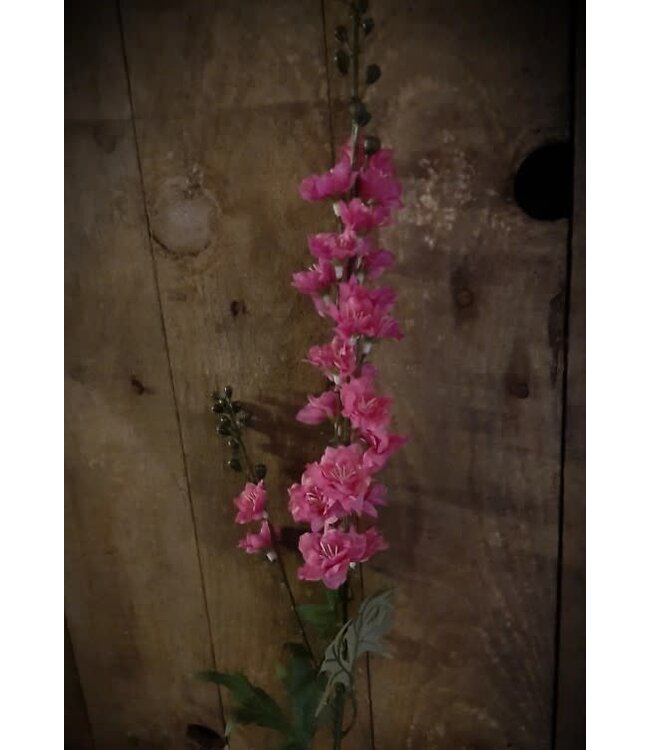 Roze ridderspoor - delphium - 78 cm