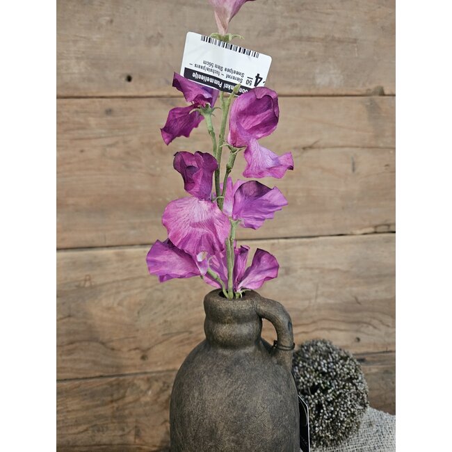 ## Siererwt - fuchsia/paars - Sweetpea Stem 56cm