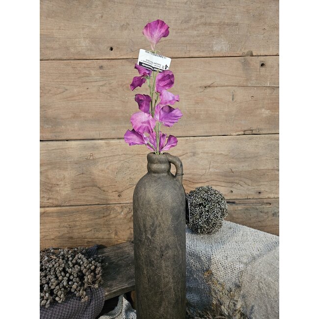 ## Siererwt - fuchsia/paars - Sweetpea Stem 56cm