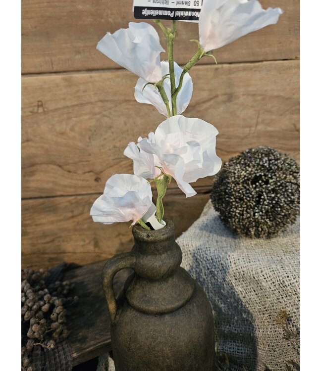 ## Siererwt - lichtroze - Sweetpea Stem 56cm