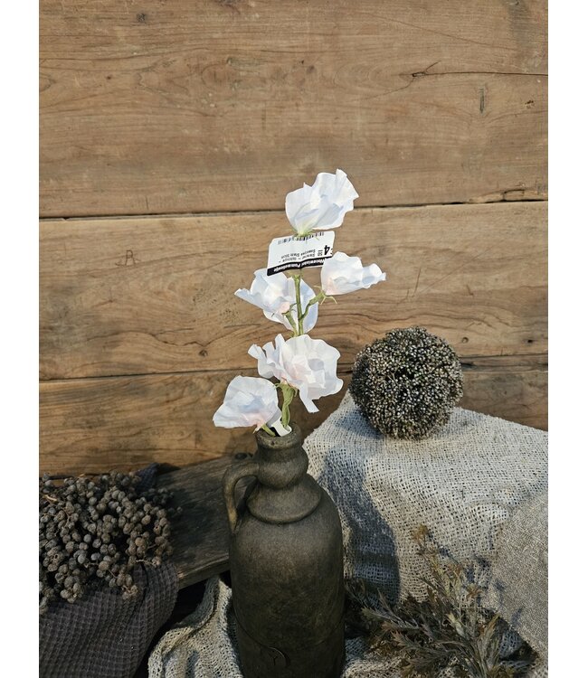 ## Siererwt - lichtroze - Sweetpea Stem 56cm