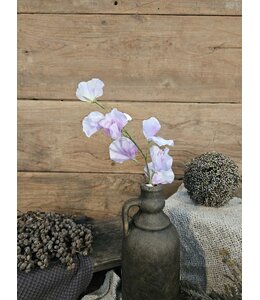 ## Siererwt - lavendel - Sweetpea Stem 56cm