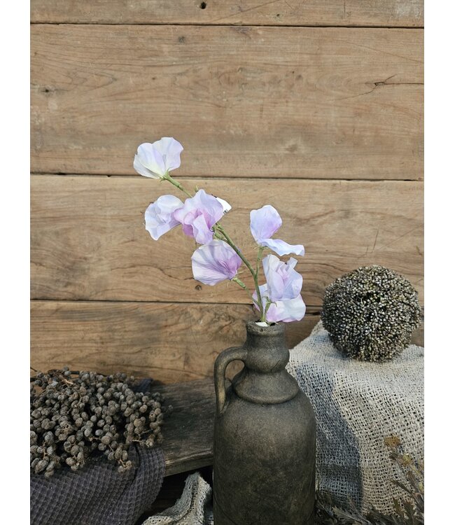 ### Siererwt - lavendel - Sweetpea Stem 56cm