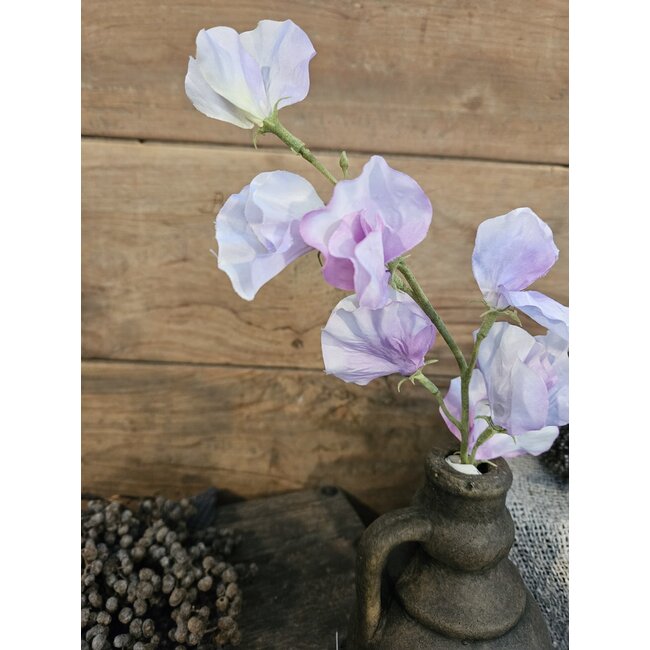 Siererwt - lavendel - Sweetpea Stem 56cm