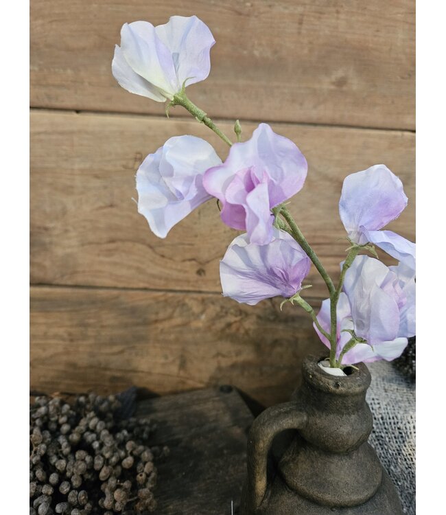 ### Siererwt - lavendel - Sweetpea Stem 56cm