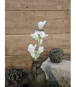 ## Siererwt - creme/wit - Sweetpea Stem 56cm