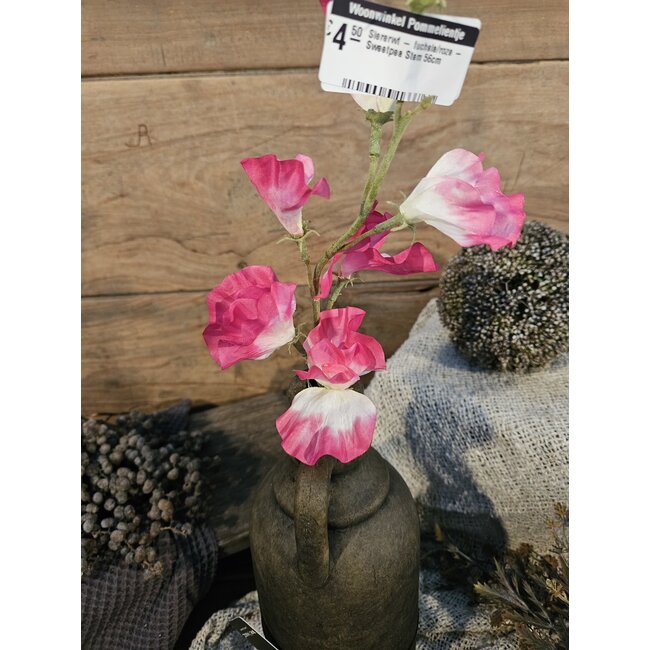 ## Siererwt - fuchsia/roze - Sweetpea Stem 56cm