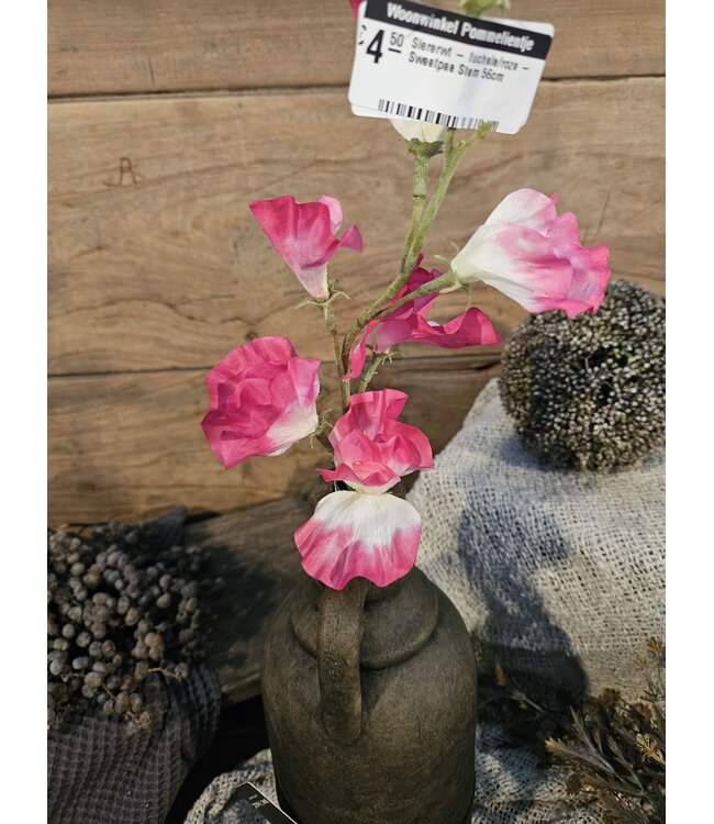 ### Siererwt - fuchsia/roze - Sweetpea Stem 56cm