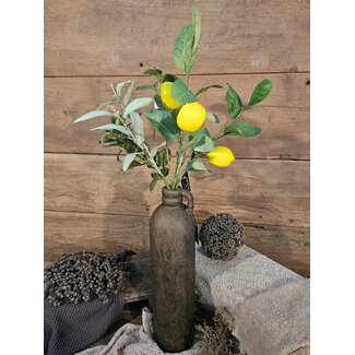 Countryfield Citrus/olea mix L geel/groen -