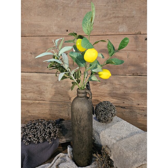 Countryfield Citrus/olea mix L geel/groen -
