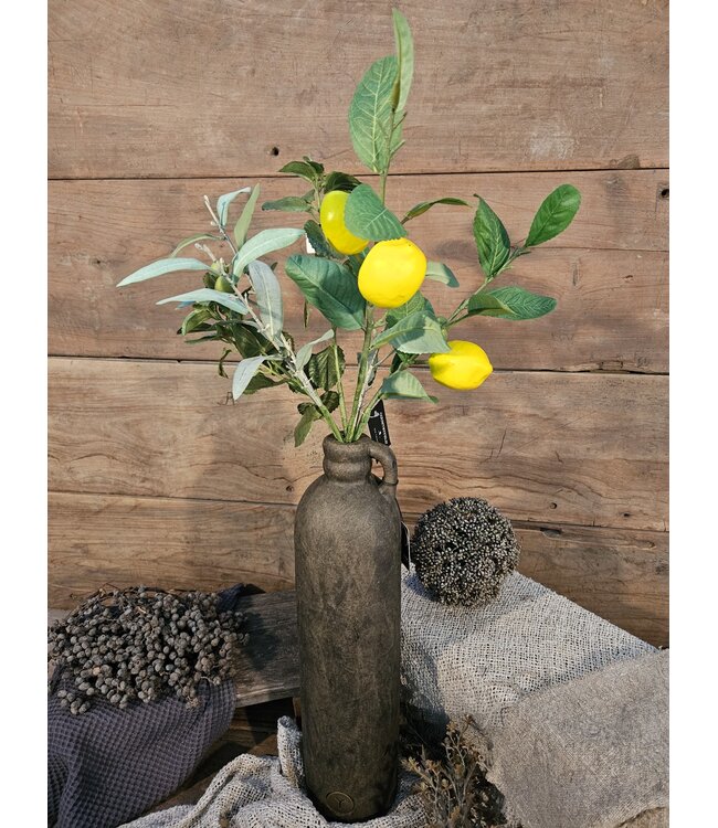 Countryfield ### Citrus/olea mix L geel/groen -