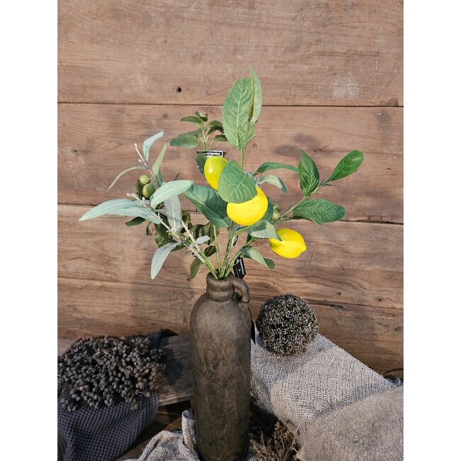 Countryfield Citrus/olea mix L geel/groen -