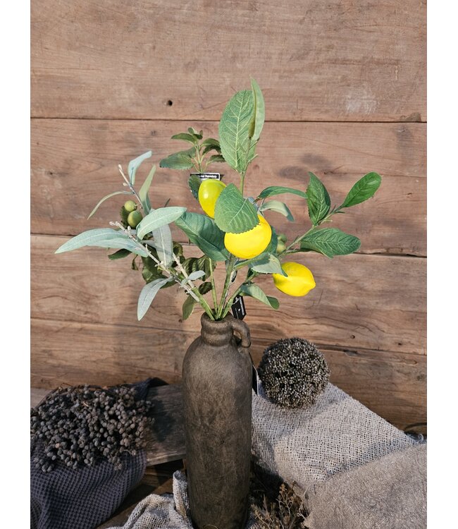 Countryfield ### Citrus/olea mix L geel/groen -