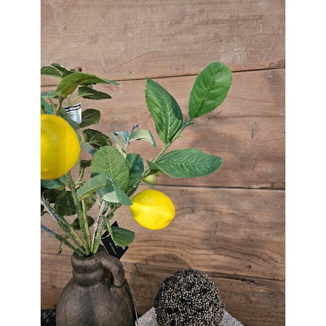 Countryfield Citrus/olea mix L geel/groen -