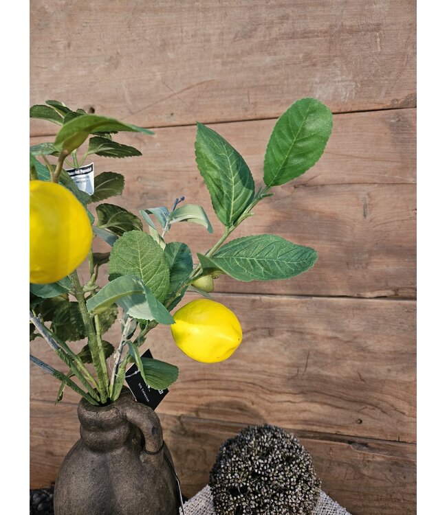 Countryfield ### Citrus/olea mix L geel/groen -